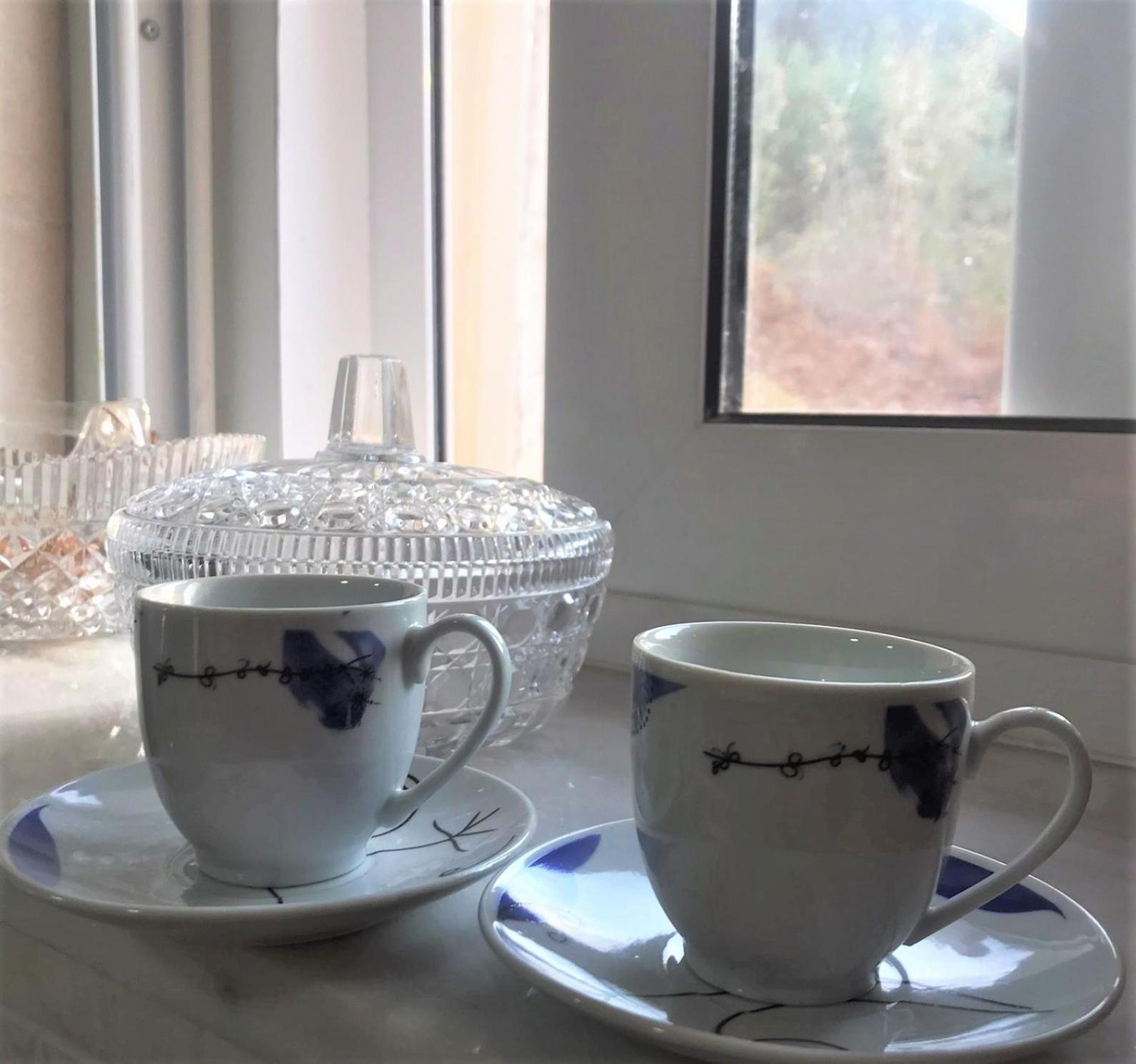 Leonídion Metaxias House 빌라 외부 사진
